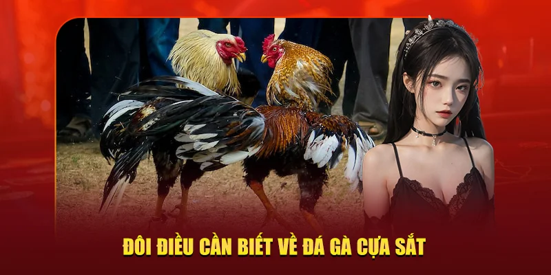 đá gà cựa sắt