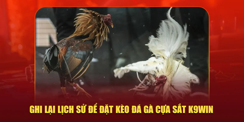 đặt kèo đá gà cựa sắt K9WIN