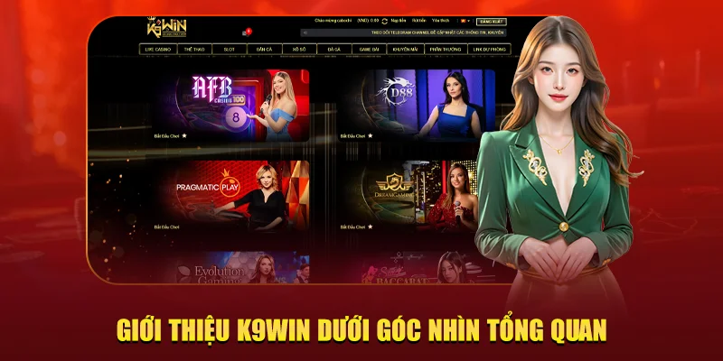 tổng quan K9win