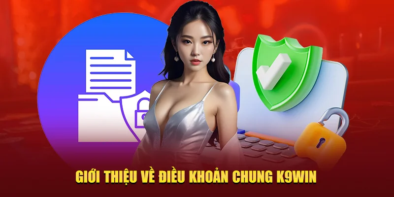 về điều khoản chung K9win
