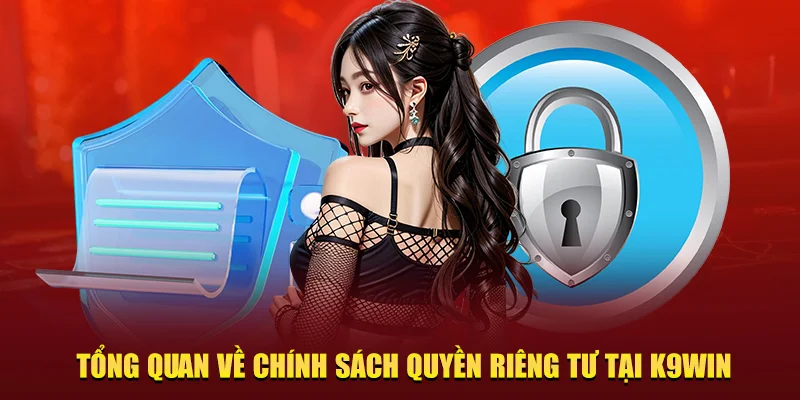 chính sách quyền riêng tư tại K9win