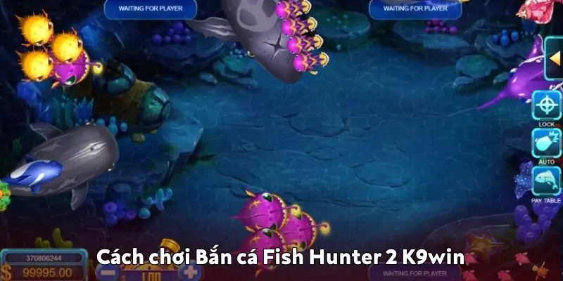 Cách chơi Bắn cá Fish Hunter 2 K9win