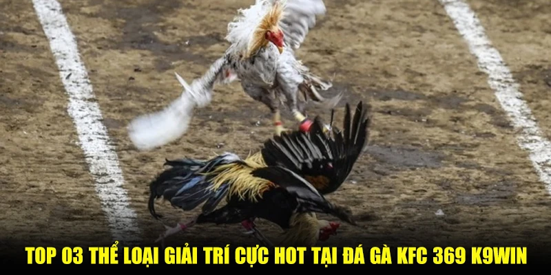 Top 03 thể loại giải trí cực hot tại đá gà KFC 369 K9win